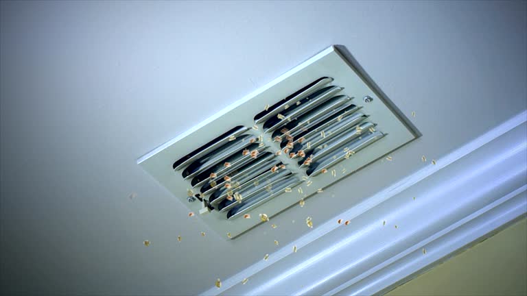 Affordable HVAC Duct Cleaning in NE